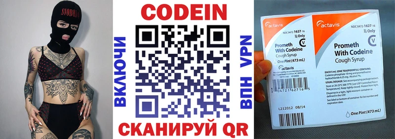 как найти наркотики  блэк спрут ссылка  Кодеиновый сироп Lean Purple Drank  Лесосибирск 