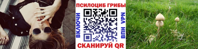 цены наркотик  Лесосибирск  Псилоцибиновые грибы Psilocybe 